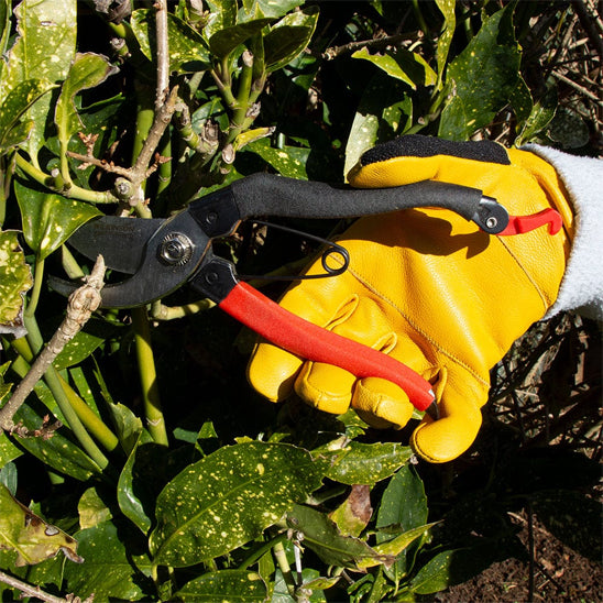 gants-de-jardinage-haute-qualité